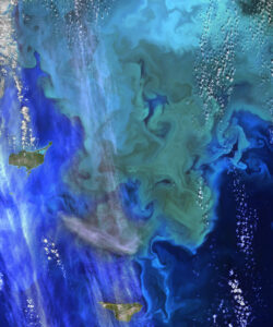 Coloring the Sea Around the Pribilof Islands