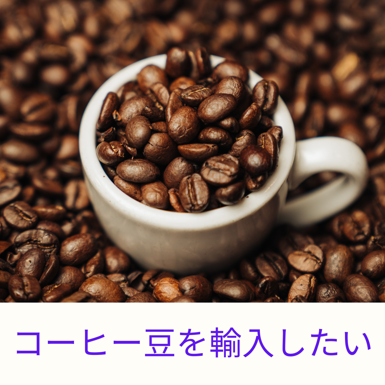 コーヒーの輸入ってどうするの？